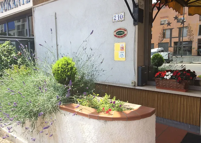 Parco Fiera Hotel 3*